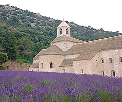 Abad&iacute;a de S&eacute;nanque