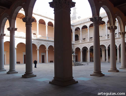 Magn&iacute;fico patio central