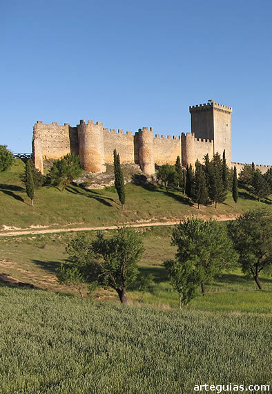 El castillo de Pe&ntilde;aranda visto desde el valle opuesto a la poblaci&oacute;n