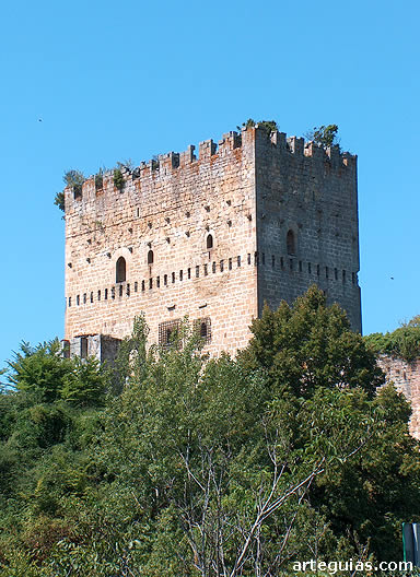 Espinosa de los Monteros: Torre de los Velascos