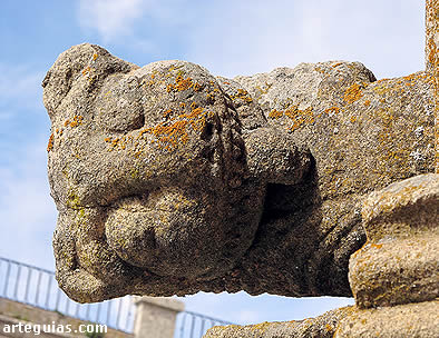 Cabeza de le&oacute;n