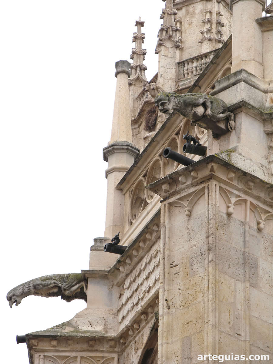 G&aacute;rgolas y pin&aacute;culos