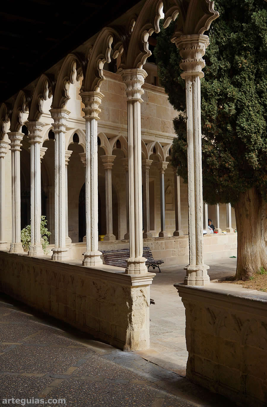 Arquer&iacute;as del claustro g&oacute;tico de San Francisco