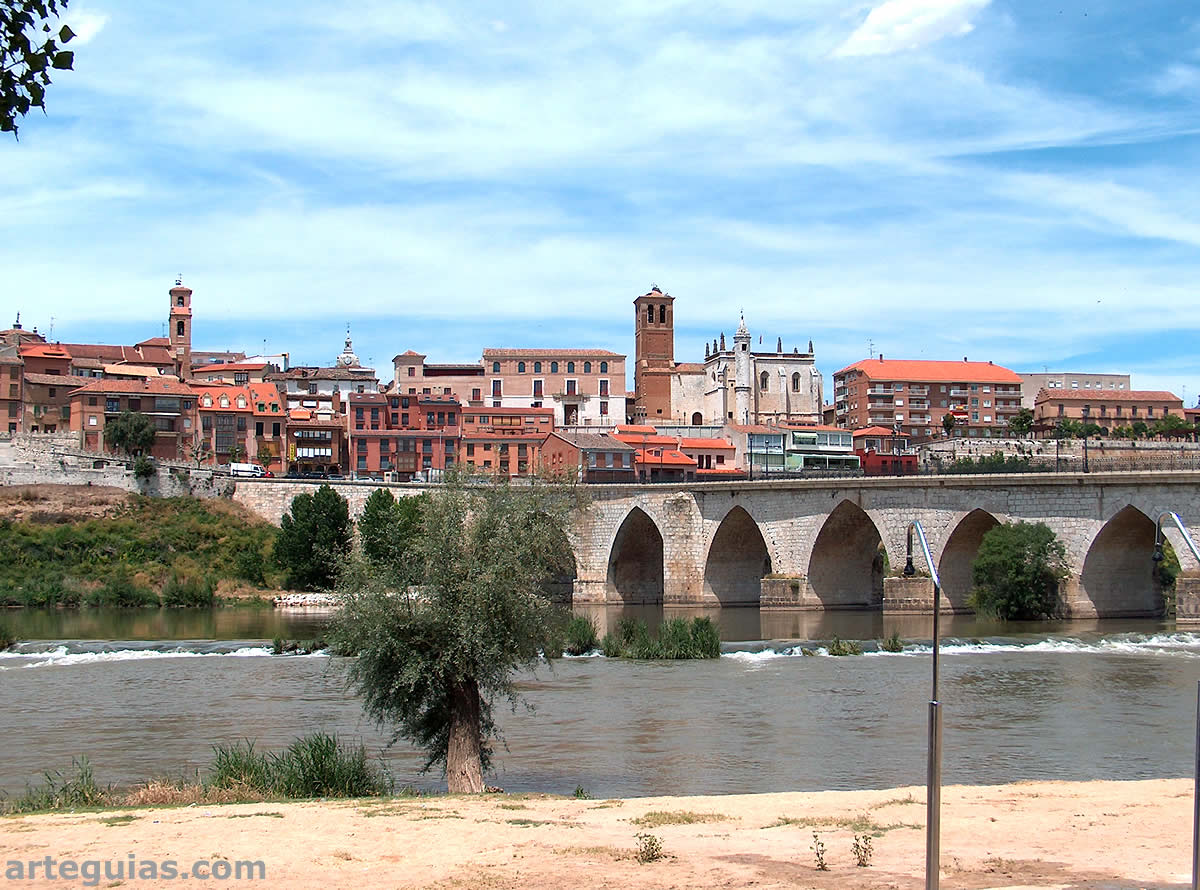 Vista de Tordesillas desde el río Duero