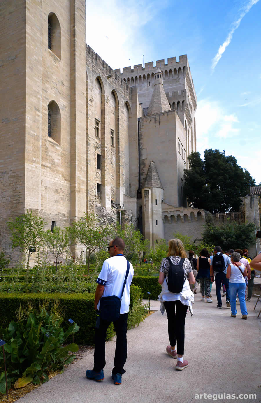 Palacio Papal de Avi&ntilde;&oacute;n