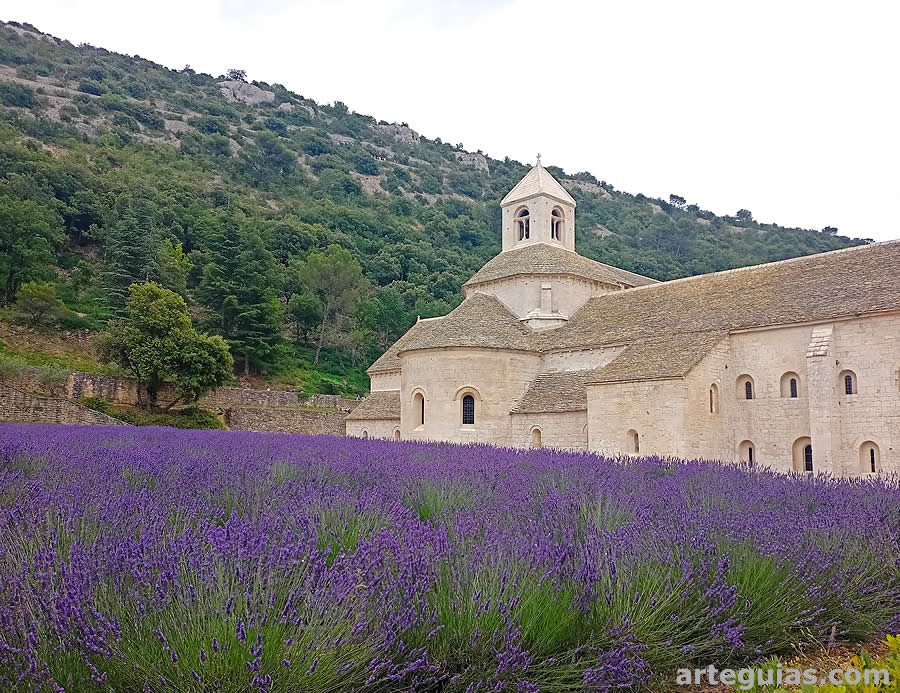 S&eacute;nanque y sus campos de lavanda