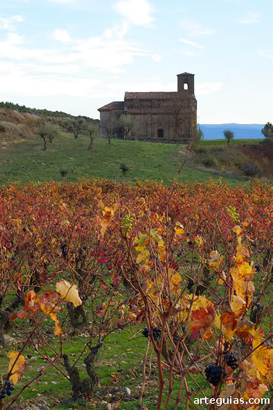 Numerosos vi&ntilde;edos rodean la Ermita de Santa Mar&iacute;a de la Piscina