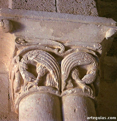 Aves pic&aacute;ndose las patas