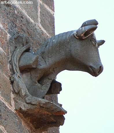 Magn&iacute;fica cabeza de buey