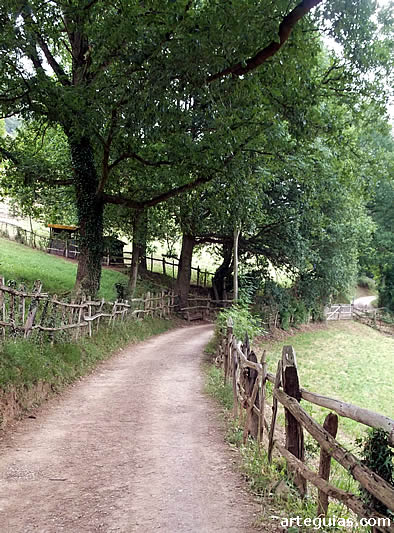 Camino que conduce hasta la ermita