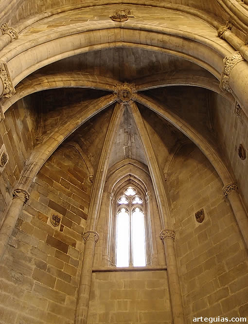 &Aacute;bside lateral