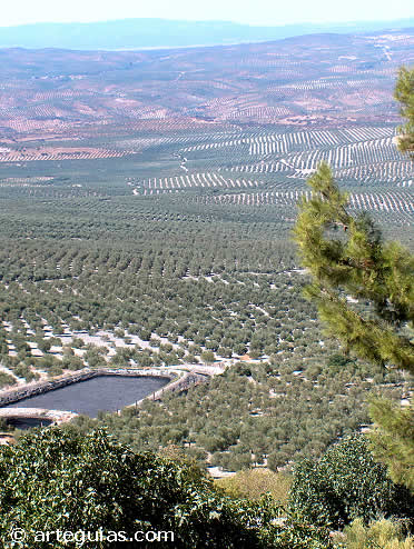 Vistas desde el castillo de Sabiote