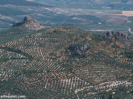 Vistas de los olivares que circundan la ciudad de Ja&eacute;n desde el castillo de Santa Catalina
