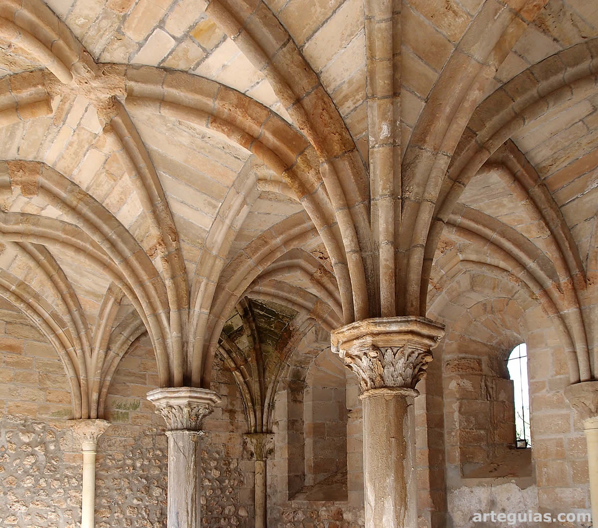 Columnas y bóvedas de la sala capitular
