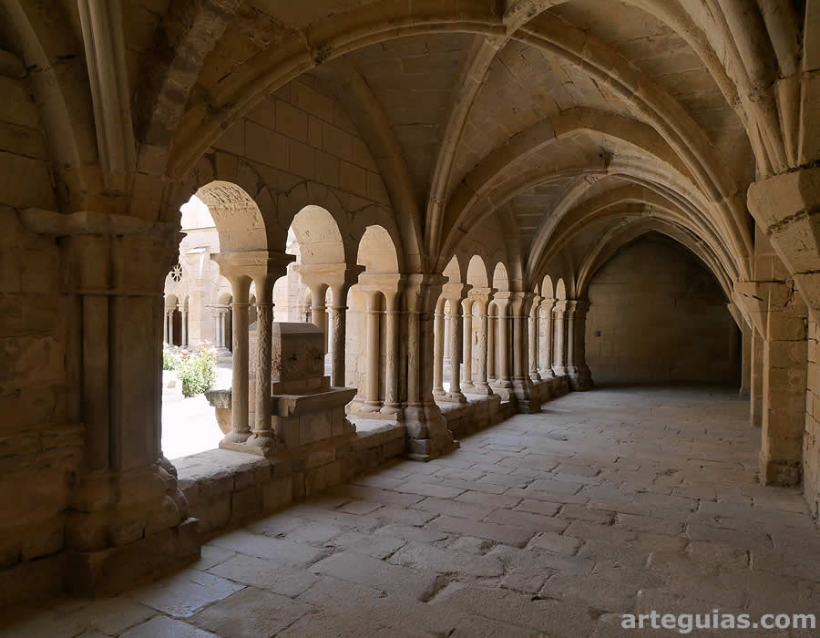 Interior de la panda meridional