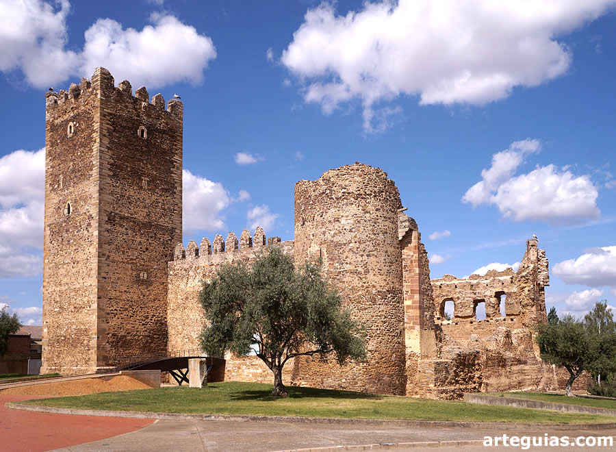 Castillo de Laguna de Negrillos, Le&oacute;n