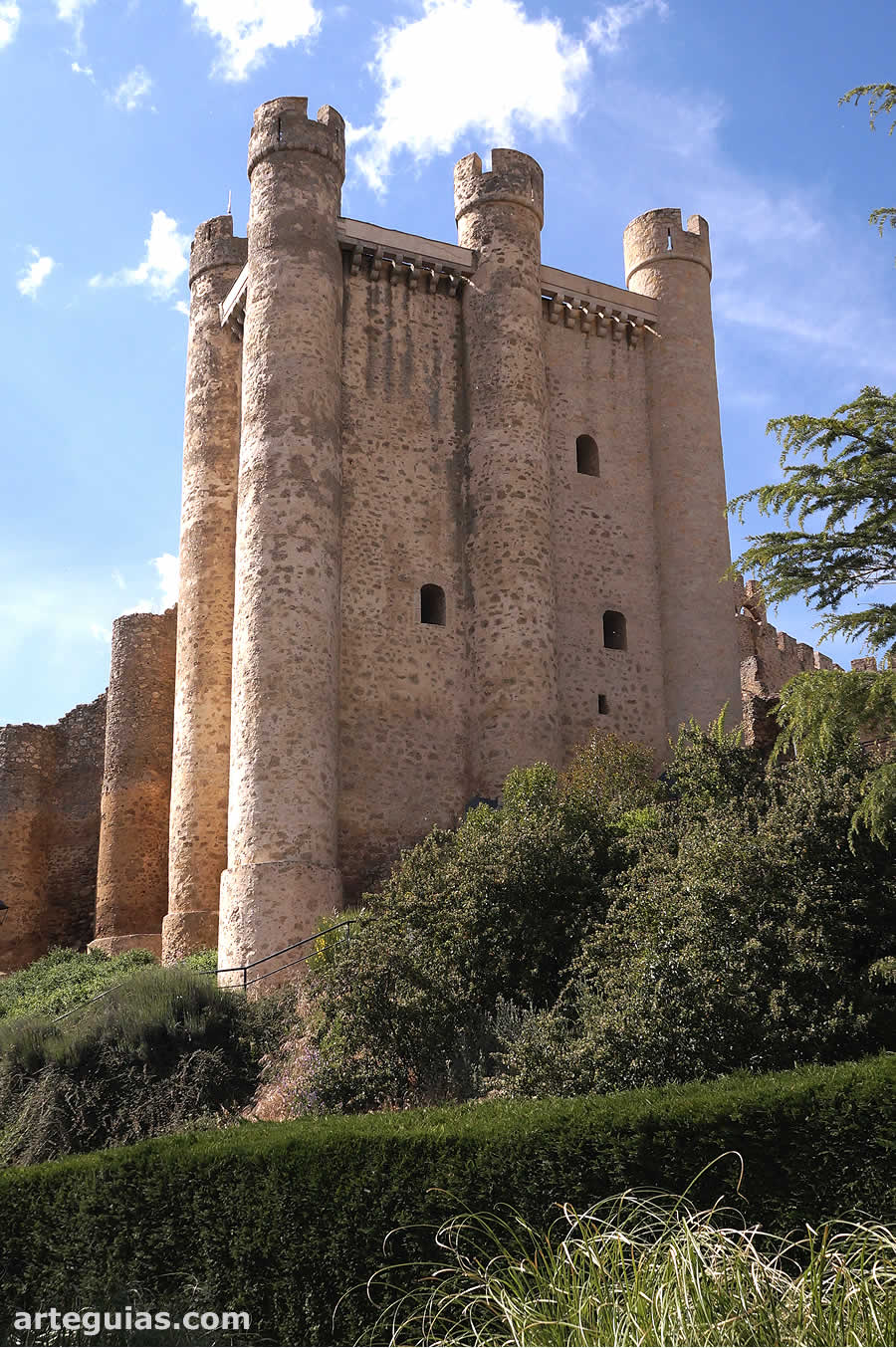 Castillo de Valencia de Don Juan