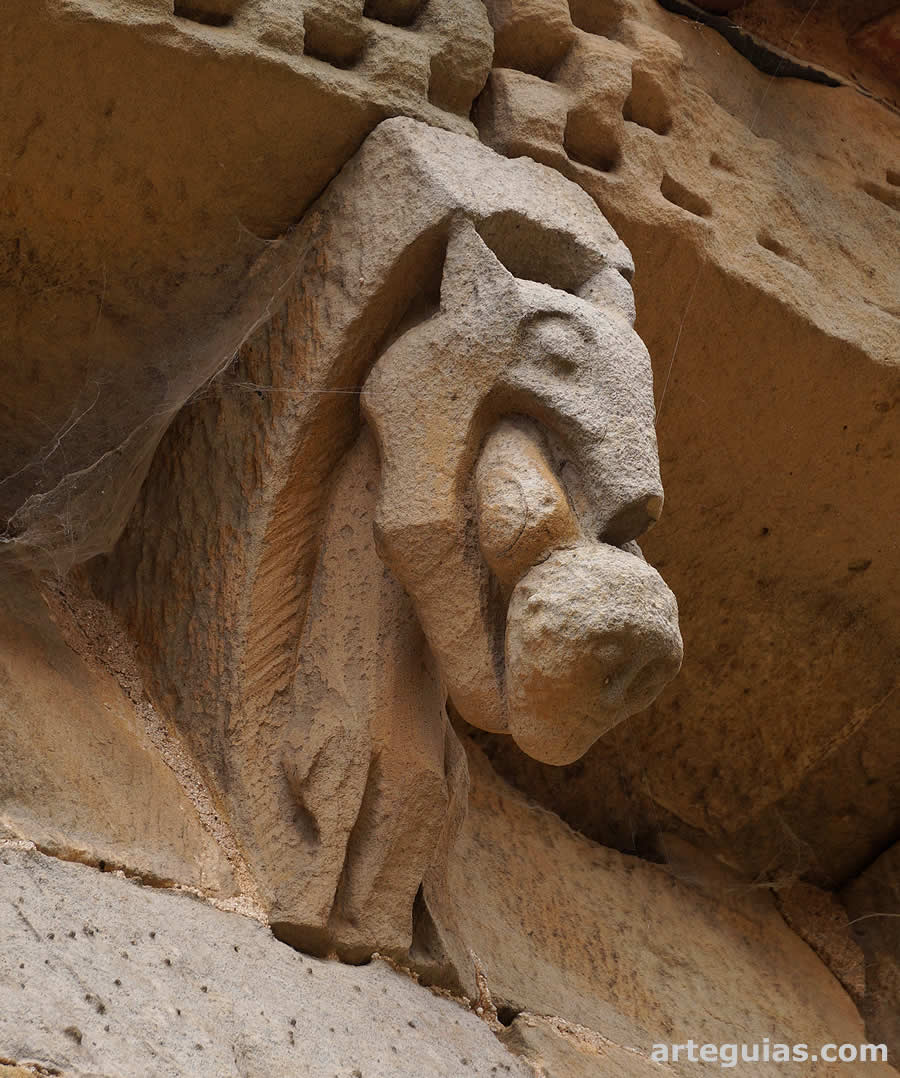 Animal andr&oacute;fago