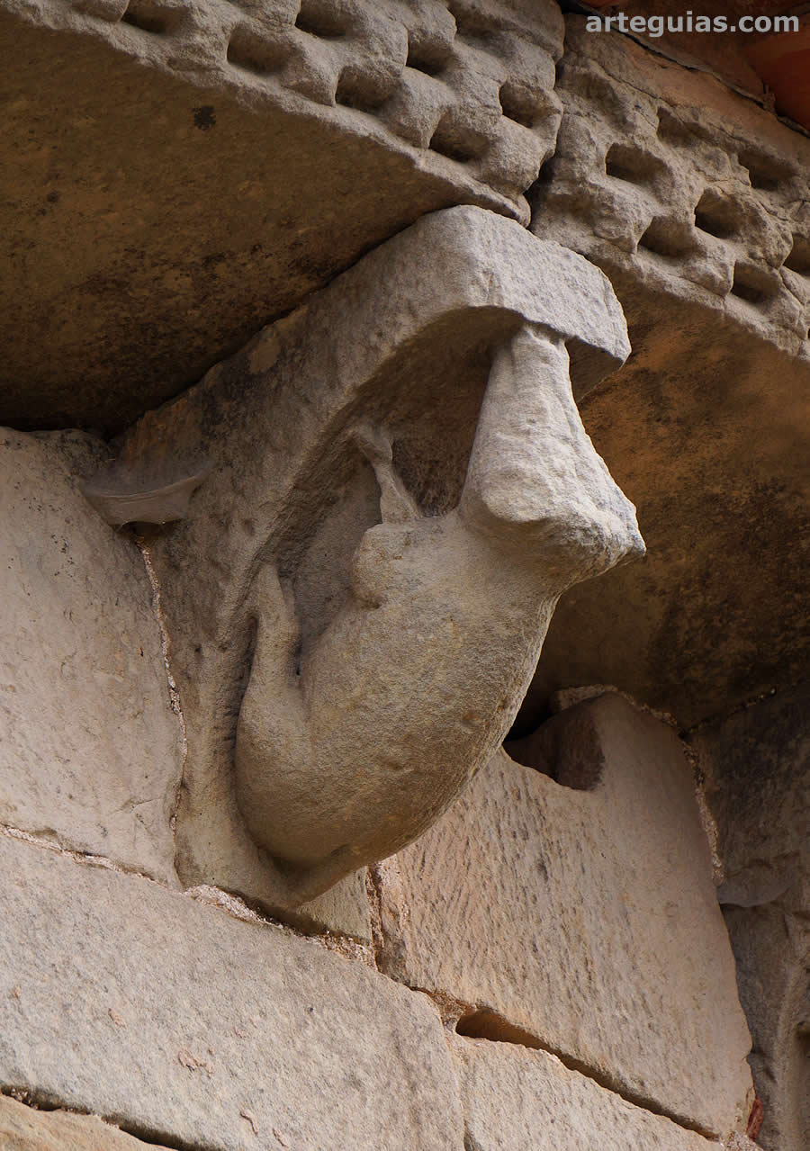 Cerdo o jabal&iacute;