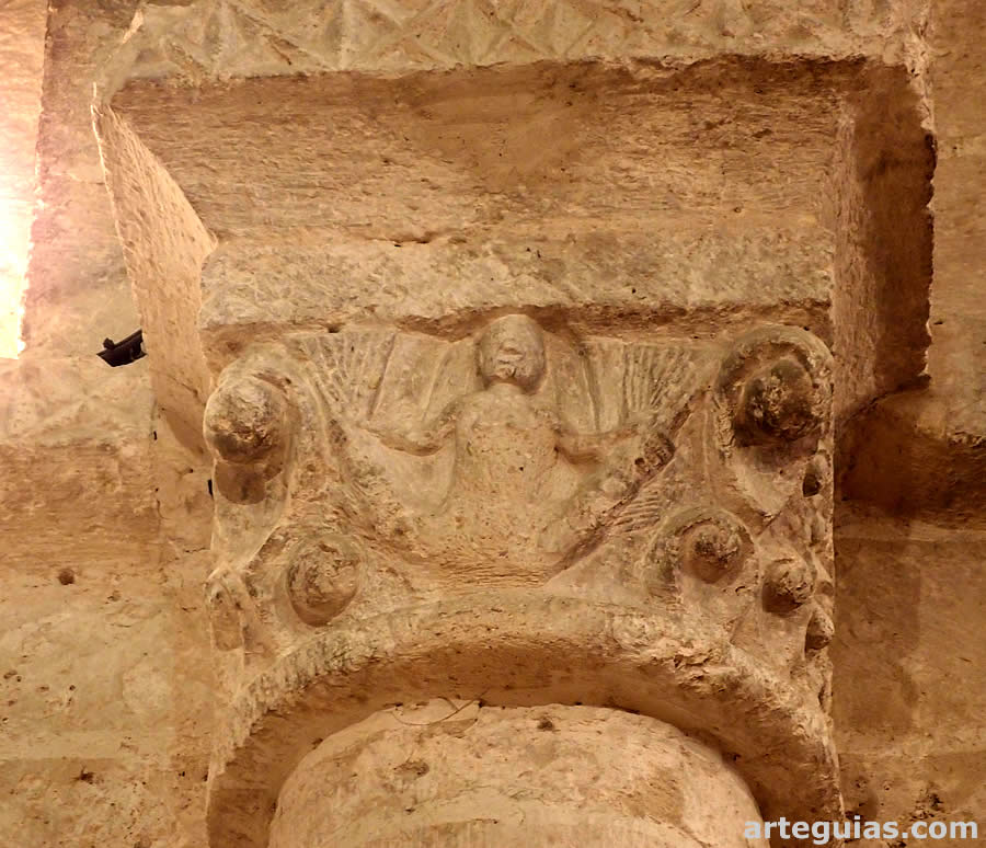 Sirena pez de doble cola