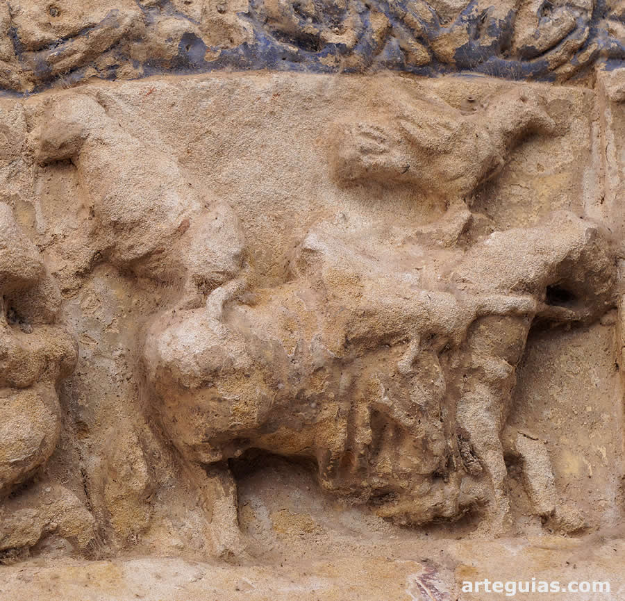 Mayo: cetrer&iacute;a