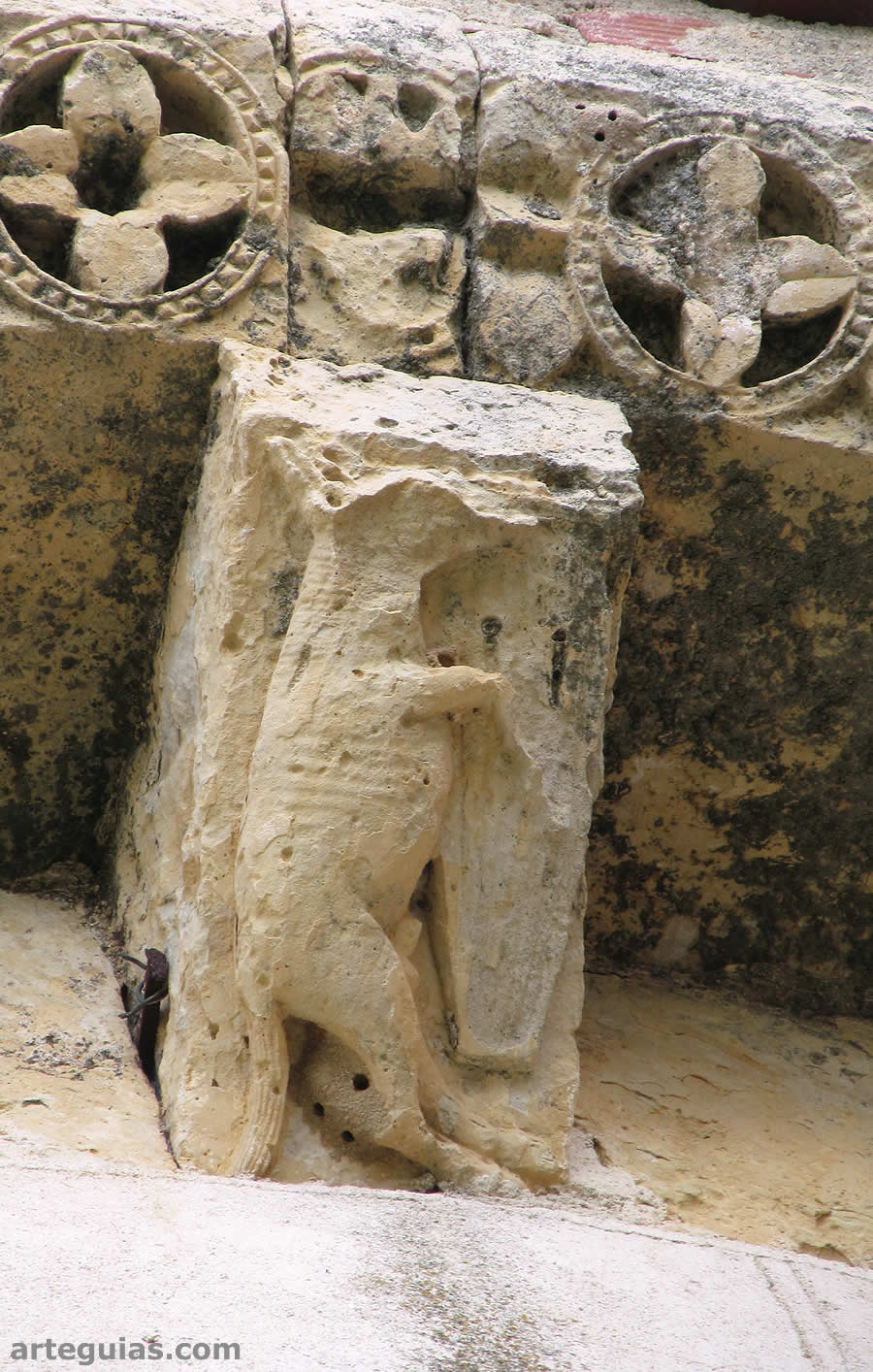 Burro o asno con arpa