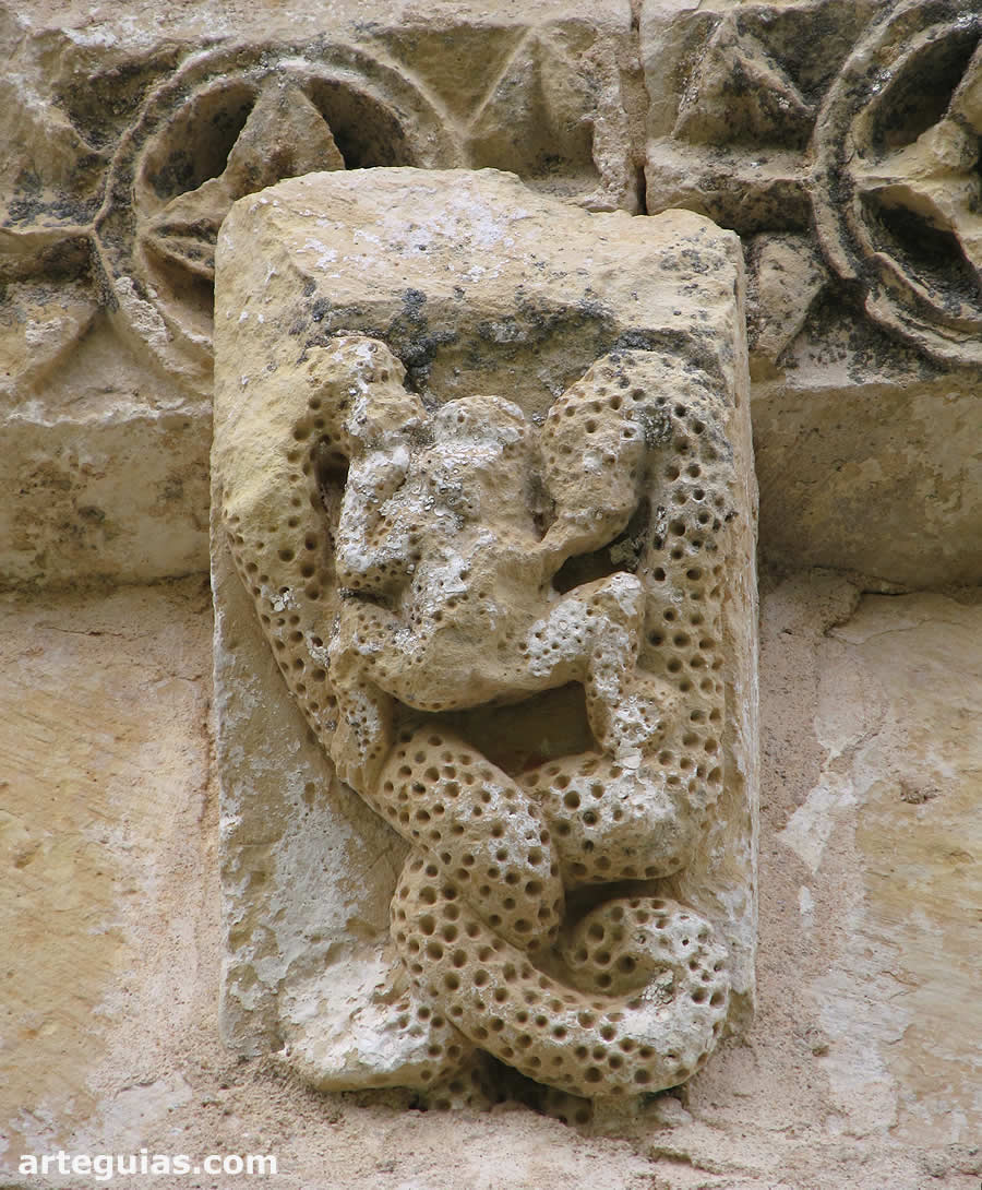 Serpientes con una rana o sapo