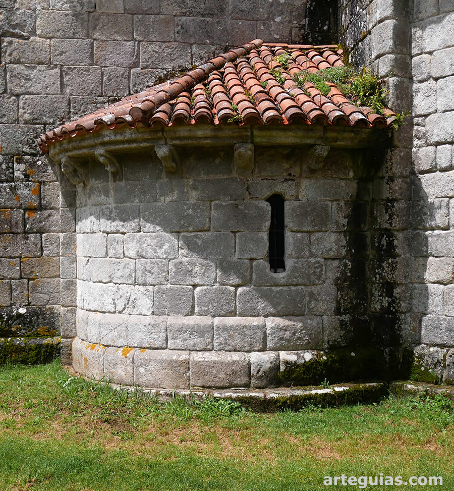 Absidiolo meridional