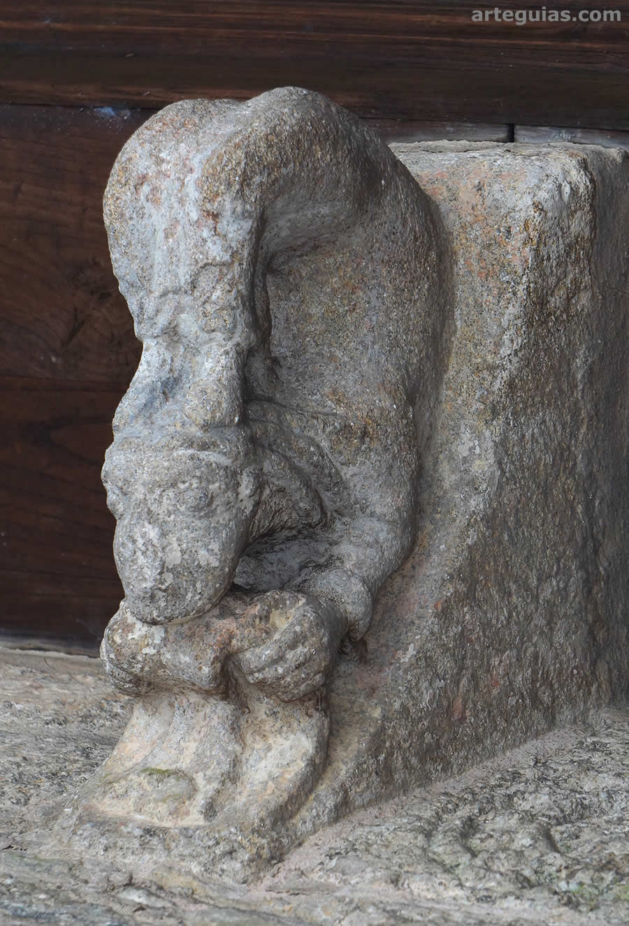Contorsionista
