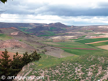 Vista desde Medinaceli en direcci&oacute;n norte