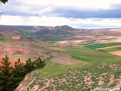 Vista de los campos sorianos desde Medinaceli en dirección norte