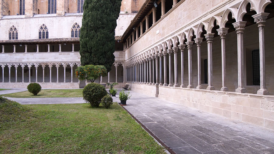 Viaje a Mallorca: claustro del Convento de San Francisco